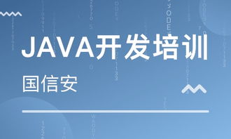 成都四川國(guó)信安職業(yè)培訓(xùn)學(xué)校 河北新聞網(wǎng)推薦品牌，專注軟件外包服務(wù)